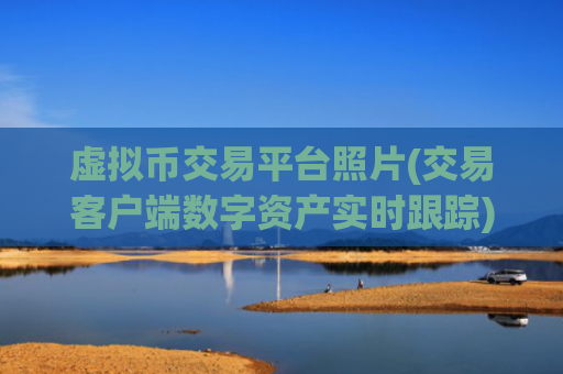 虚拟币交易平台照片(交易客户端数字资产实时跟踪)