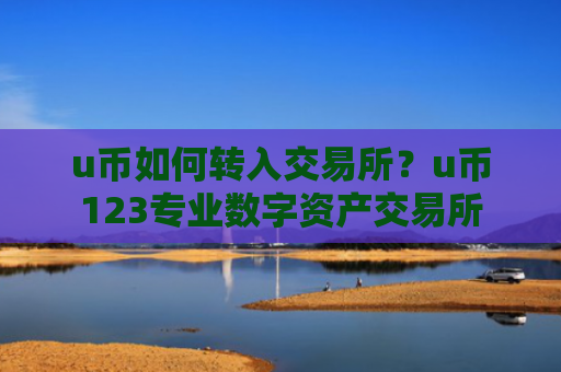 u币如何转入交易所?u币123专业数字资产交易所