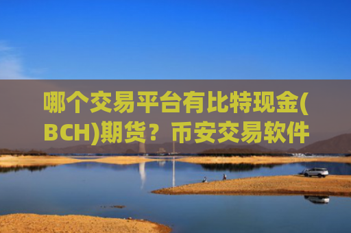 哪个交易平台有比特现金(BCH)期货?币安交易软件下载比特现金(BCH)