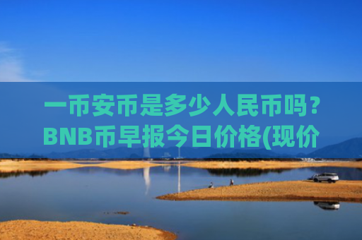 一币安币是多少人民币吗？BNB币早报今日价格(现价4821.01元)