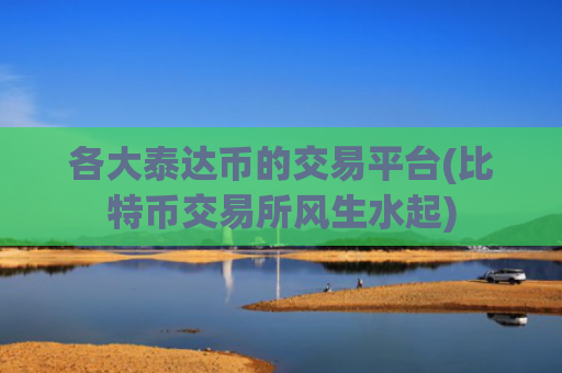 各大泰达币的交易平台(比特币交易所风生水起)