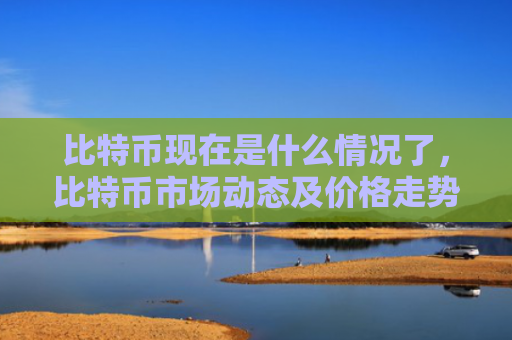 比特币现在是什么情况了，比特币市场动态及价格走势分析