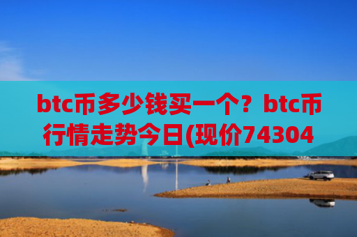 btc币多少钱买一个？btc币行情走势今日(现价743047.32元)