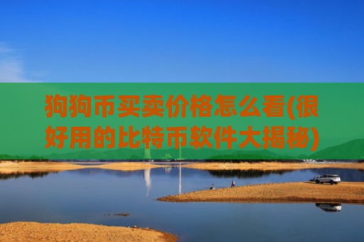 狗狗币买卖价格怎么看(很好用的比特币软件大揭秘)