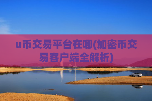 u币交易平台在哪(加密币交易客户端全解析)