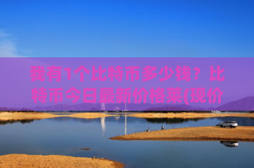 我有1个比特币多少钱?比特币今日最新价格莱(现价748829.99元)