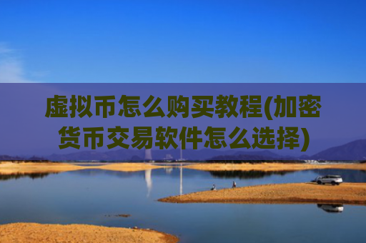 虚拟币怎么购买教程(加密货币交易软件怎么选择)