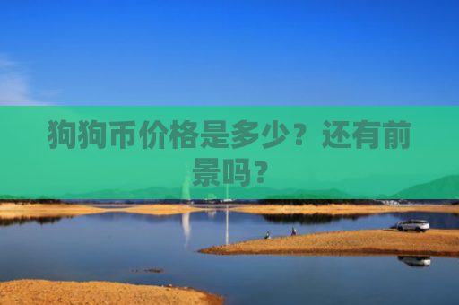 狗狗币价格是多少?还有前景吗?
