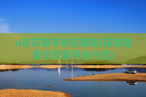 u币交易平台在哪查(高效加密币交易平台介绍)