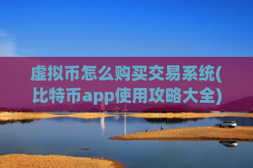 虚拟币怎么购买交易系统(比特币app使用攻略大全)