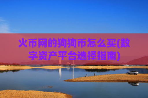 火币网的狗狗币怎么买(数字资产平台选择指南)