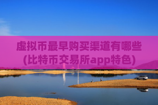 虚拟币最早购买渠道有哪些(比特币交易所app特色)