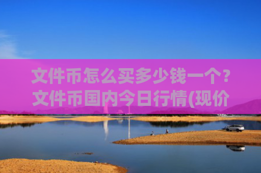 文件币怎么买多少钱一个？文件币国内今日行情(现价58.1651元)