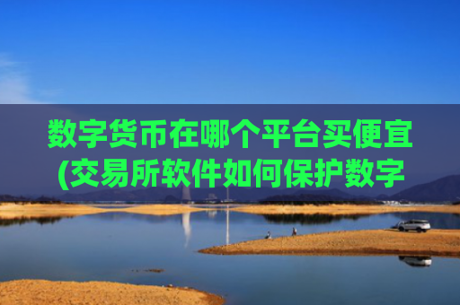 数字货币在哪个平台买便宜(交易所软件如何保护数字资产安全)