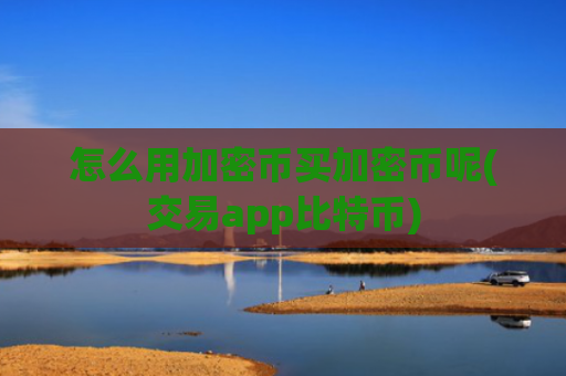 怎么用加密币买加密币呢(交易app比特币)