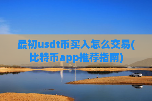 最初usdt币买入怎么交易(比特币app推荐指南)