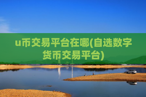 u币交易平台在哪(自选数字货币交易平台)