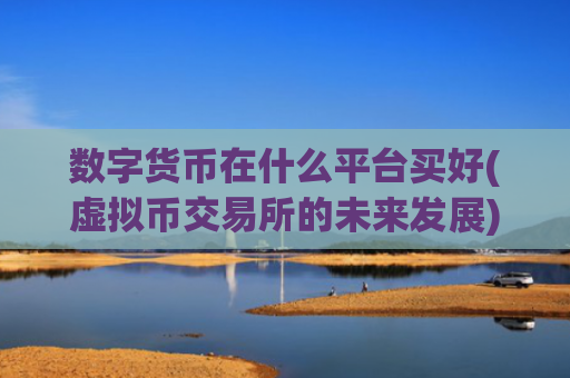 数字货币在什么平台买好(虚拟币交易所的未来发展)
