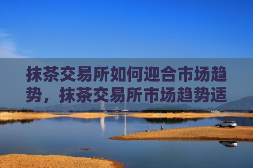 抹茶交易所如何迎合市场趋势，抹茶交易所市场趋势适应策略