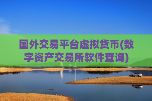 国外交易平台虚拟货币(数字资产交易所软件查询)