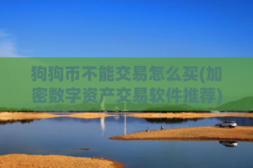 狗狗币不能交易怎么买(加密数字资产交易软件推荐)