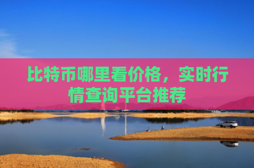 比特币哪里看价格,实时行情查询平台推荐