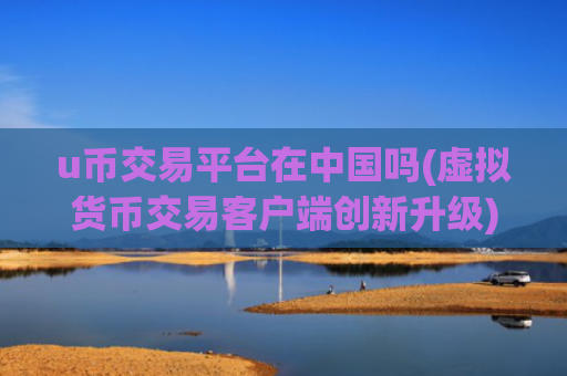 u币交易平台在中国吗(虚拟货币交易客户端创新升级)