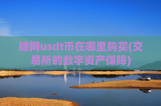 暗网usdt币在哪里购买(交易所的数字资产保障)