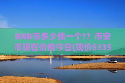 BNB币多少钱一个?？币安币现在价格今日(现价5335.79元)