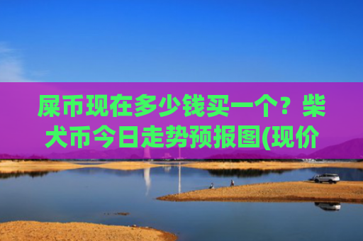 屎币现在多少钱买一个？柴犬币今日走势预报图(现价0.00022766元)