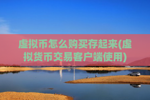 虚拟币怎么购买存起来(虚拟货币交易客户端使用)
