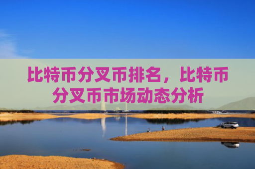 比特币分叉币排名,比特币分叉币市场动态分析