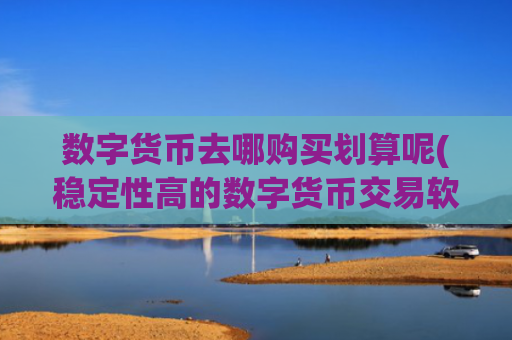 数字货币去哪购买划算呢(稳定性高的数字货币交易软件)