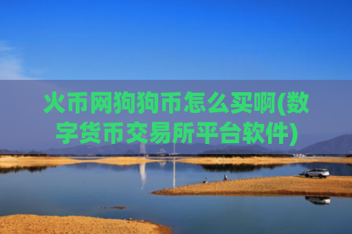火币网狗狗币怎么买啊(数字货币交易所平台软件)