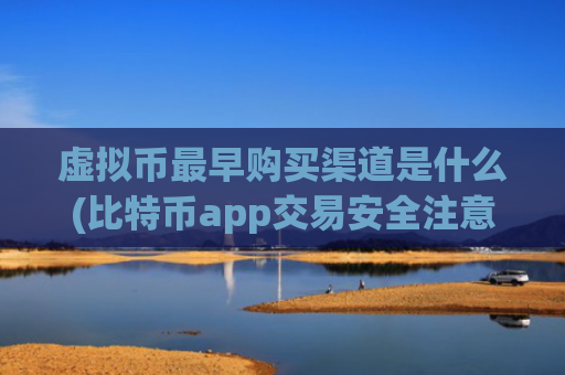 虚拟币最早购买渠道是什么(比特币app交易安全注意事项)