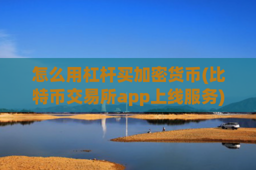 怎么用杠杆买加密货币(比特币交易所app上线服务)