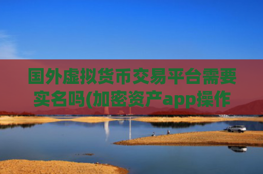 国外虚拟货币交易平台需要实名吗(加密资产app操作简便)