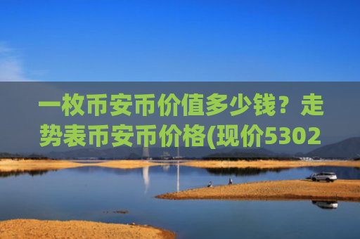 一枚币安币价值多少钱？走势表币安币价格(现价5302.59元)