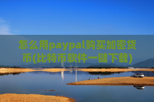 怎么用paypal购买加密货币(比特币软件一键下载)