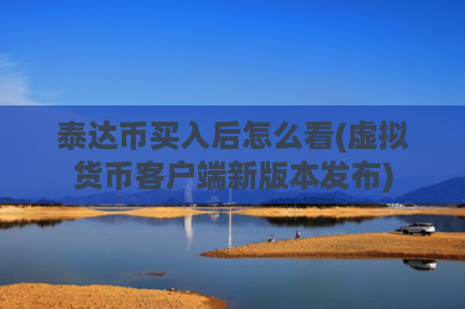 泰达币买入后怎么看(虚拟货币客户端新版本发布)