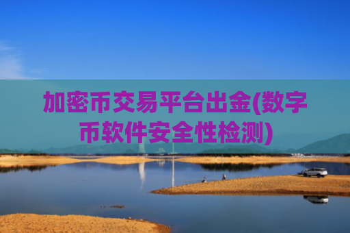 加密币交易平台出金(数字币软件安全性检测)