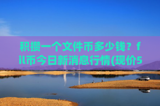 积攒一个文件币多少钱?fil币今日新消息行情(现价59.3004元)