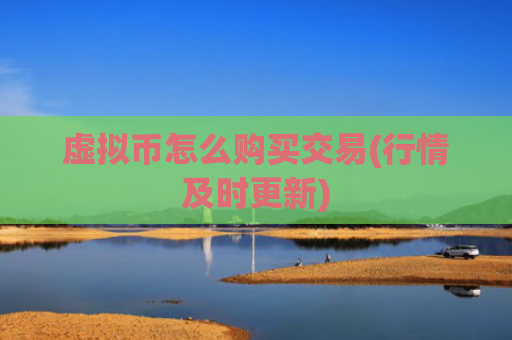 虚拟币怎么购买交易(行情及时更新)