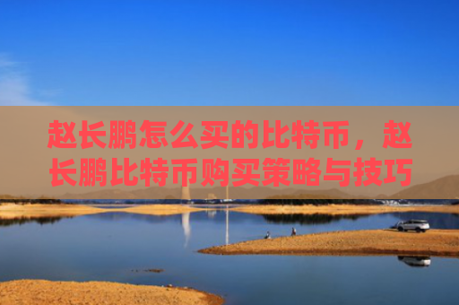 赵长鹏怎么买的比特币,赵长鹏比特币购买策略与技巧