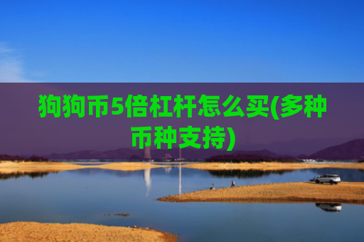 狗狗币5倍杠杆怎么买(多种币种支持)