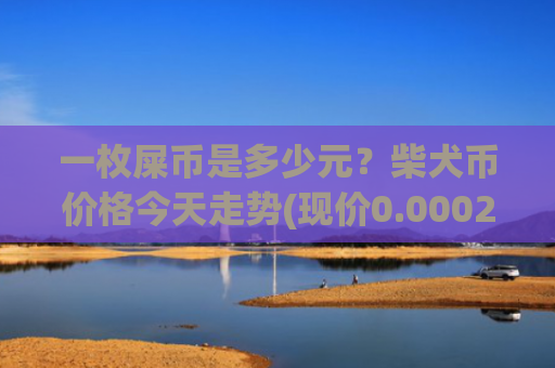 一枚屎币是多少元?柴犬币价格今天走势(现价0.00023042元)