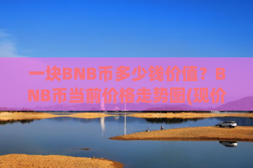 一块BNB币多少钱价值?BNB币当前价格走势图(现价5302.59元)