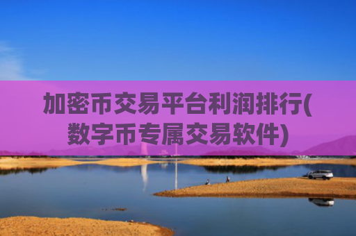 加密币交易平台利润排行(数字币专属交易软件)