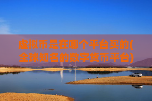 虚拟币是在哪个平台买的(全球知名的数字货币平台)