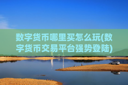 数字货币哪里买怎么玩(数字货币交易平台强势登陆)